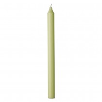 Buy the Cidex Candle 29cm Avocado online at smithsofloughton.com