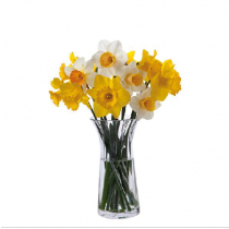 Buy the Dartington Florabundance Daffodil Vase online at smithsofloughton.com 