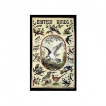 Buy the Tea Towel British Birds online at smithsofloughton.com
