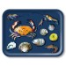 Buy the Jamida Michael Angove Seafood Navy Tray online at smithsofloughton.com