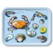 Buy the Jamida Michael Angove Seafood Sky Blue Tray online at smithsofloughton.com